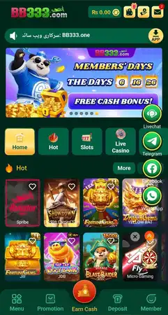 BB333 Game
