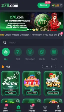 Z78 Game