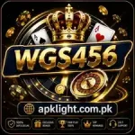 WGS456 Game