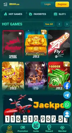 BRO444 Game