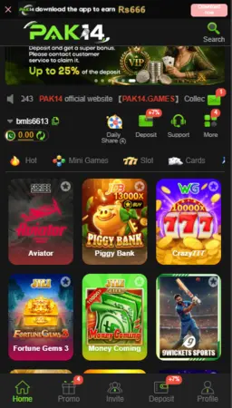 PAK14 Game